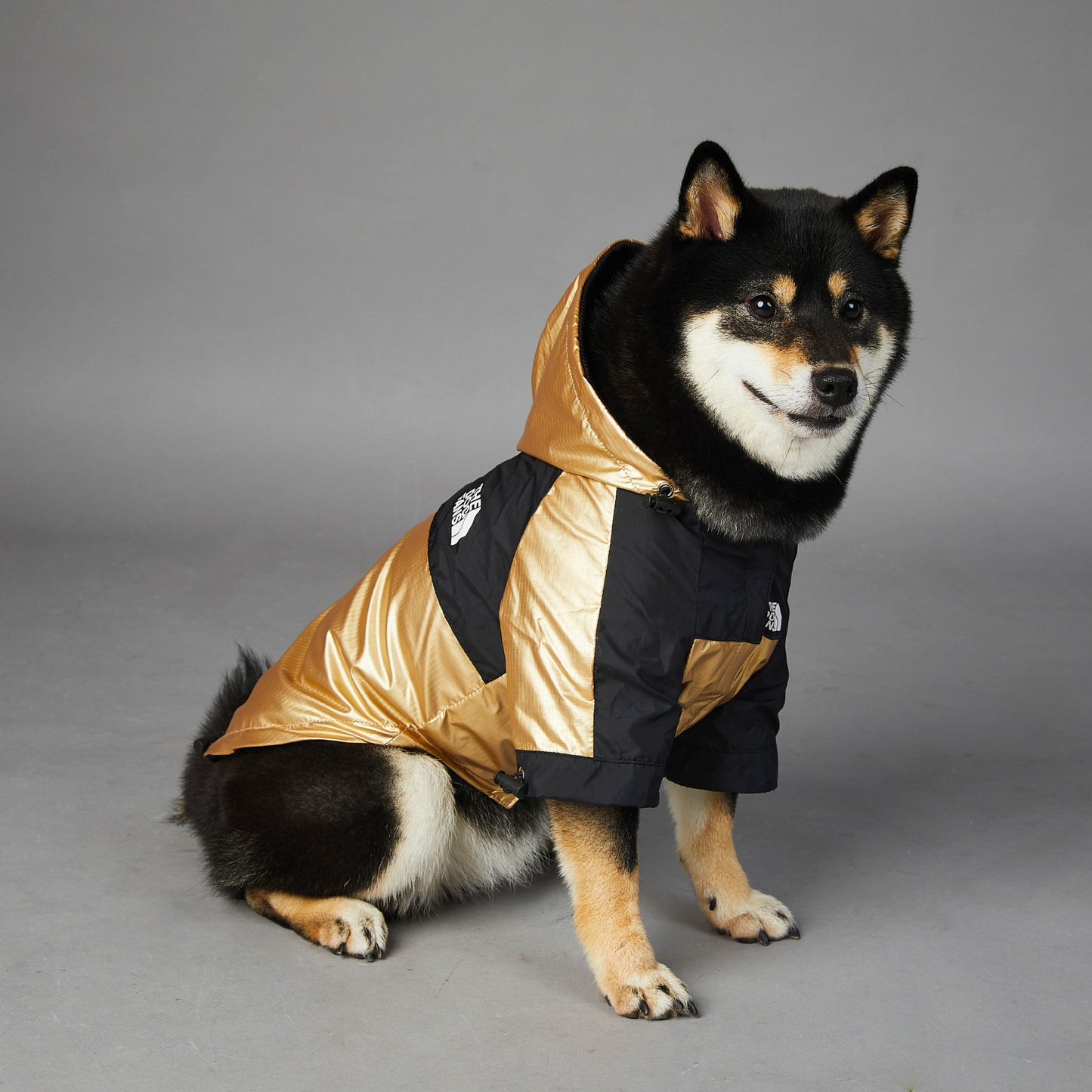 Haustier Jacke