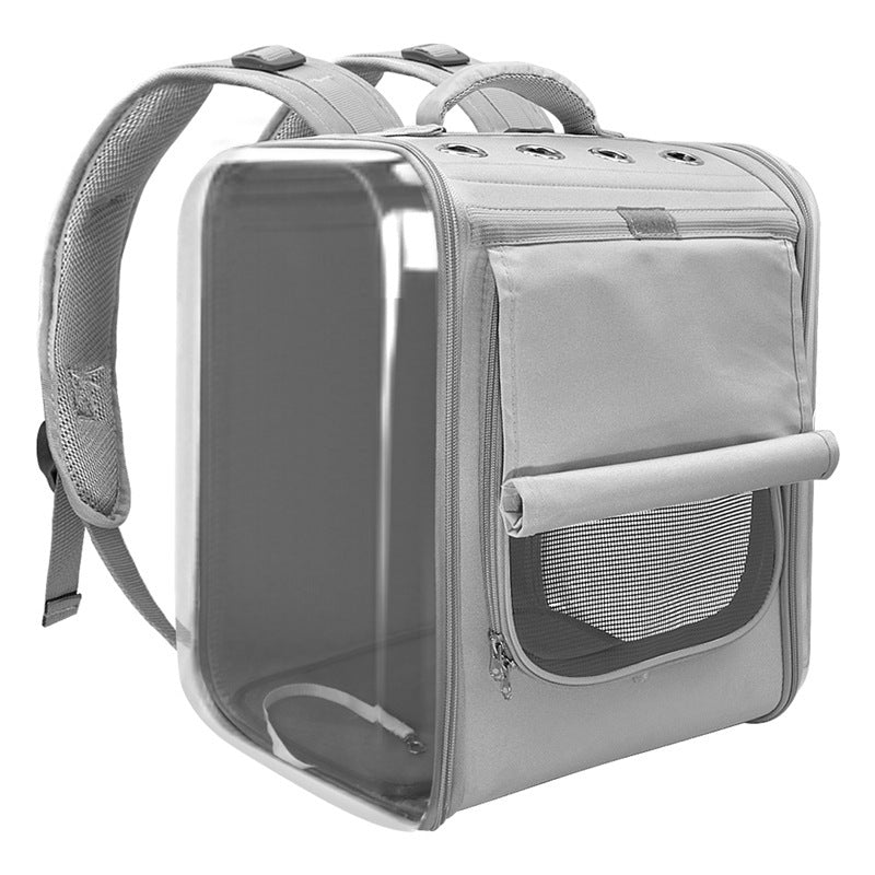 Katzen  Tragerucksack