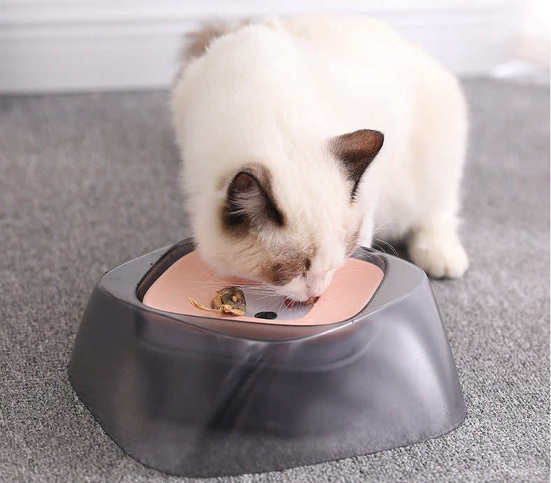Bol flottant pour animaux de compagnie, ne mouille pas la bouche