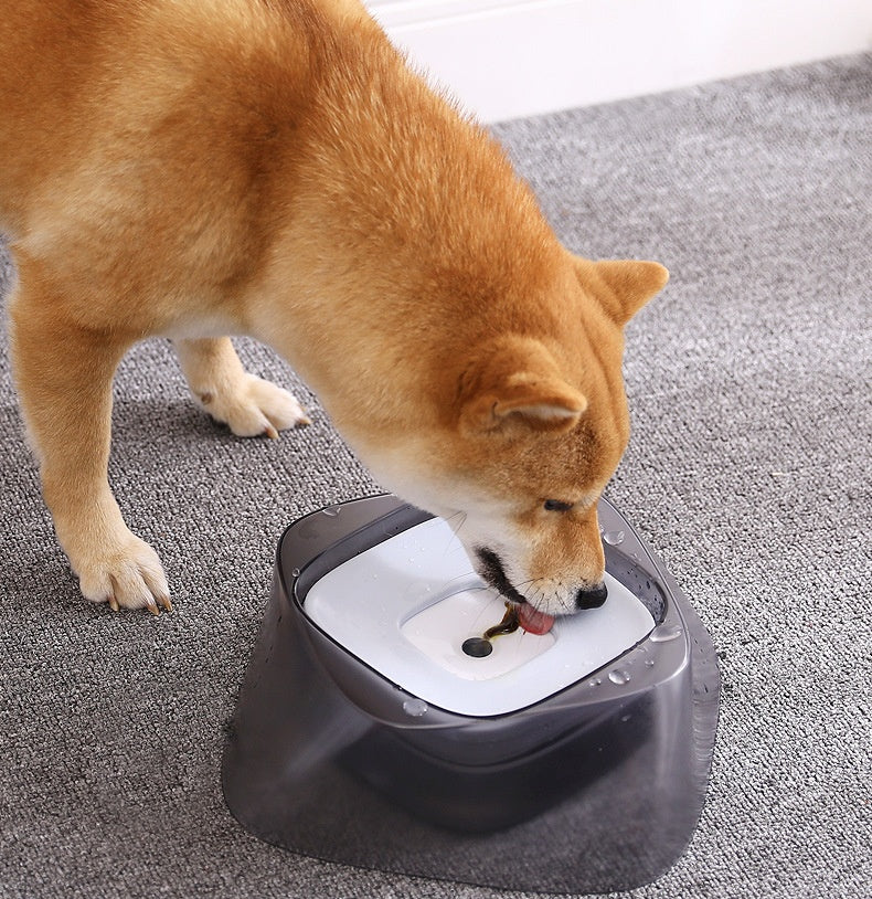Bol flottant pour animaux de compagnie, ne mouille pas la bouche