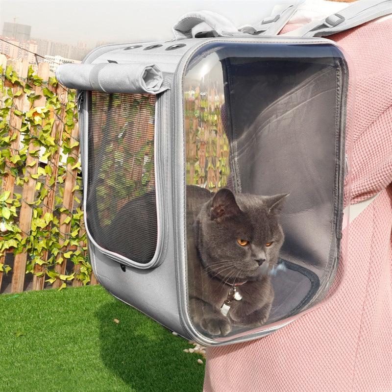 Katzen  Tragerucksack