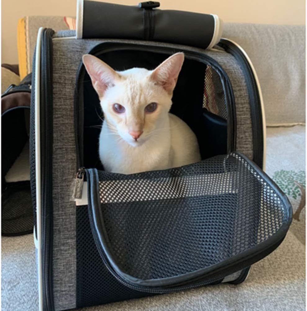Innovative Traveler Bubble Rucksack Tierträger für Katzen und Hunde