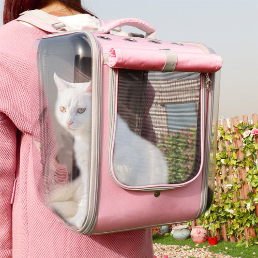 Katzen  Tragerucksack