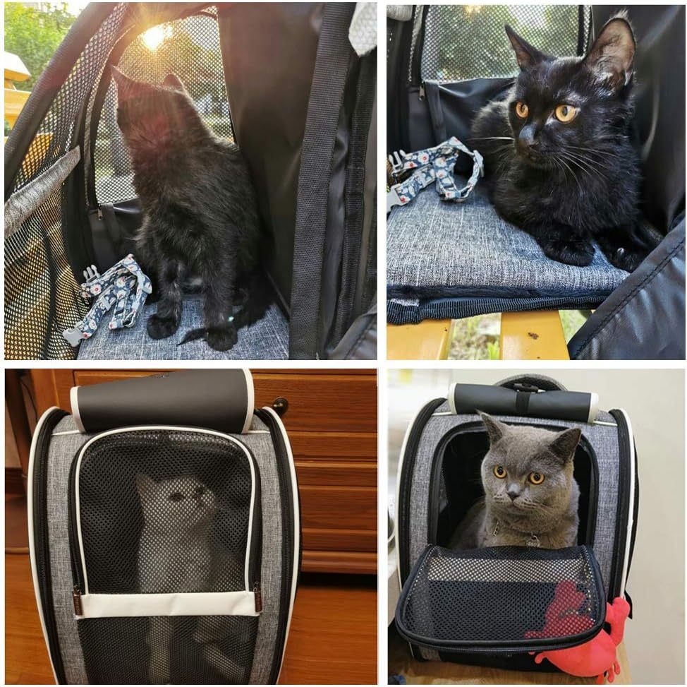 Innovative Traveler Bubble Rucksack Tierträger für Katzen und Hunde