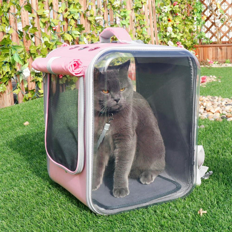 Katzen  Tragerucksack